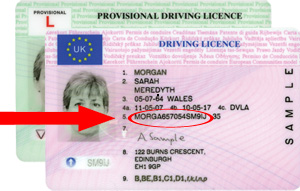 where is driver license number located michigan id